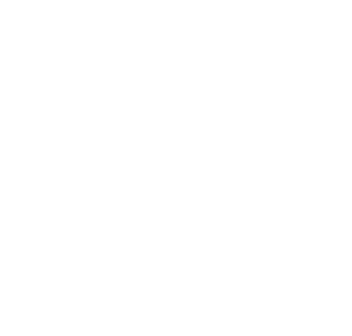 Morpheus Labs